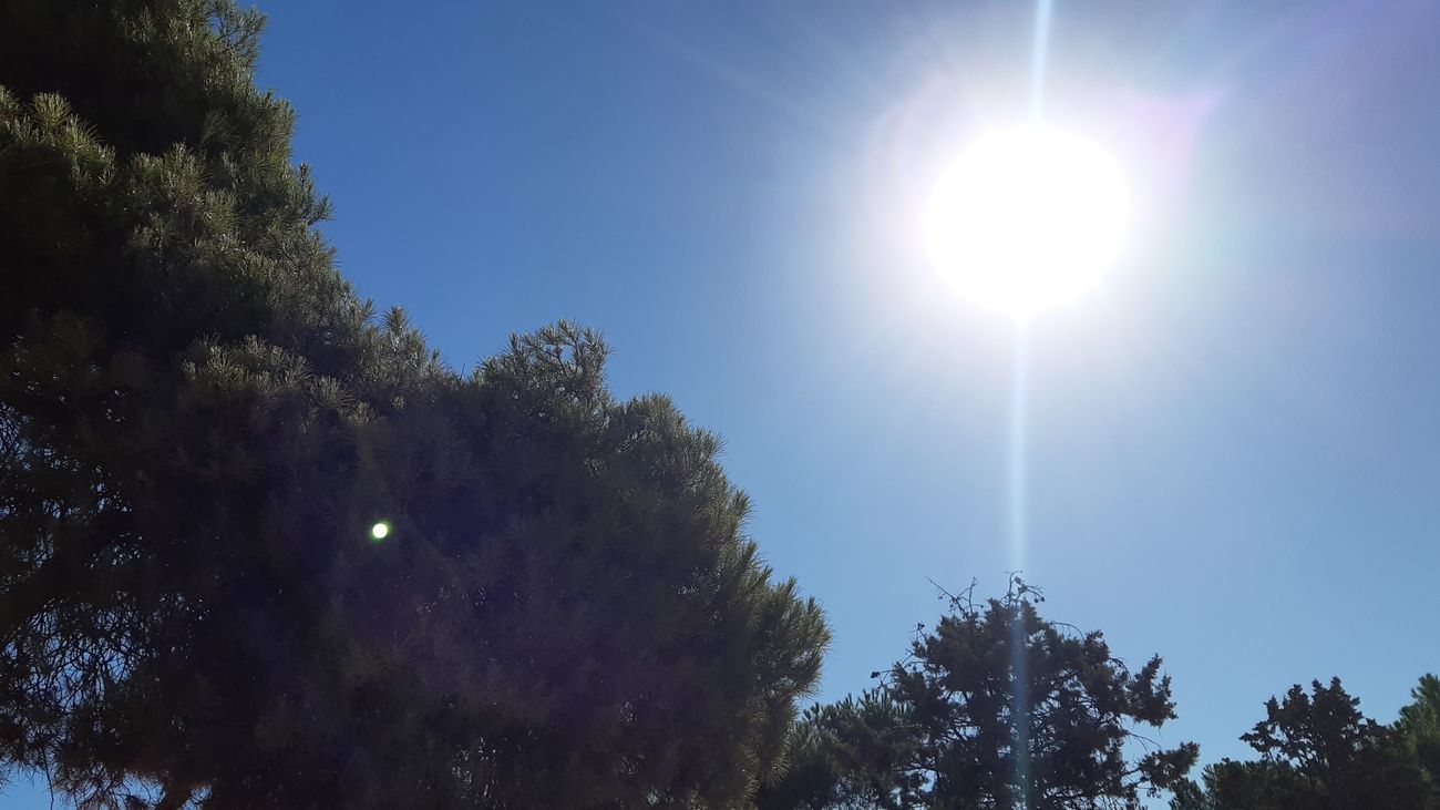 Madrid impulsa 'Entreparques':  visitas guiadas para descubrir parques menos conocidos de la ciudad