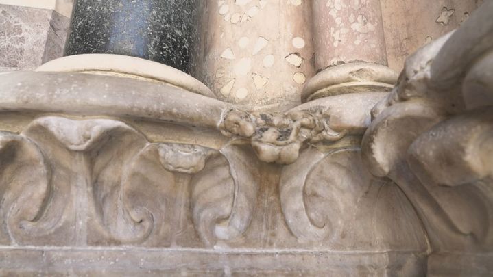 Perro tallado en la fachada de la Catedral de Génova / Redacción