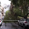 Hermine se debilita pero deja unas precipitaciones históricas y problemas de comunicaciones en Canarias