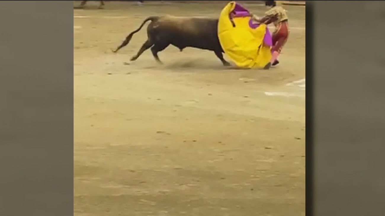 Un novillero sufre una grave cogida por un toro en Moralzarzal