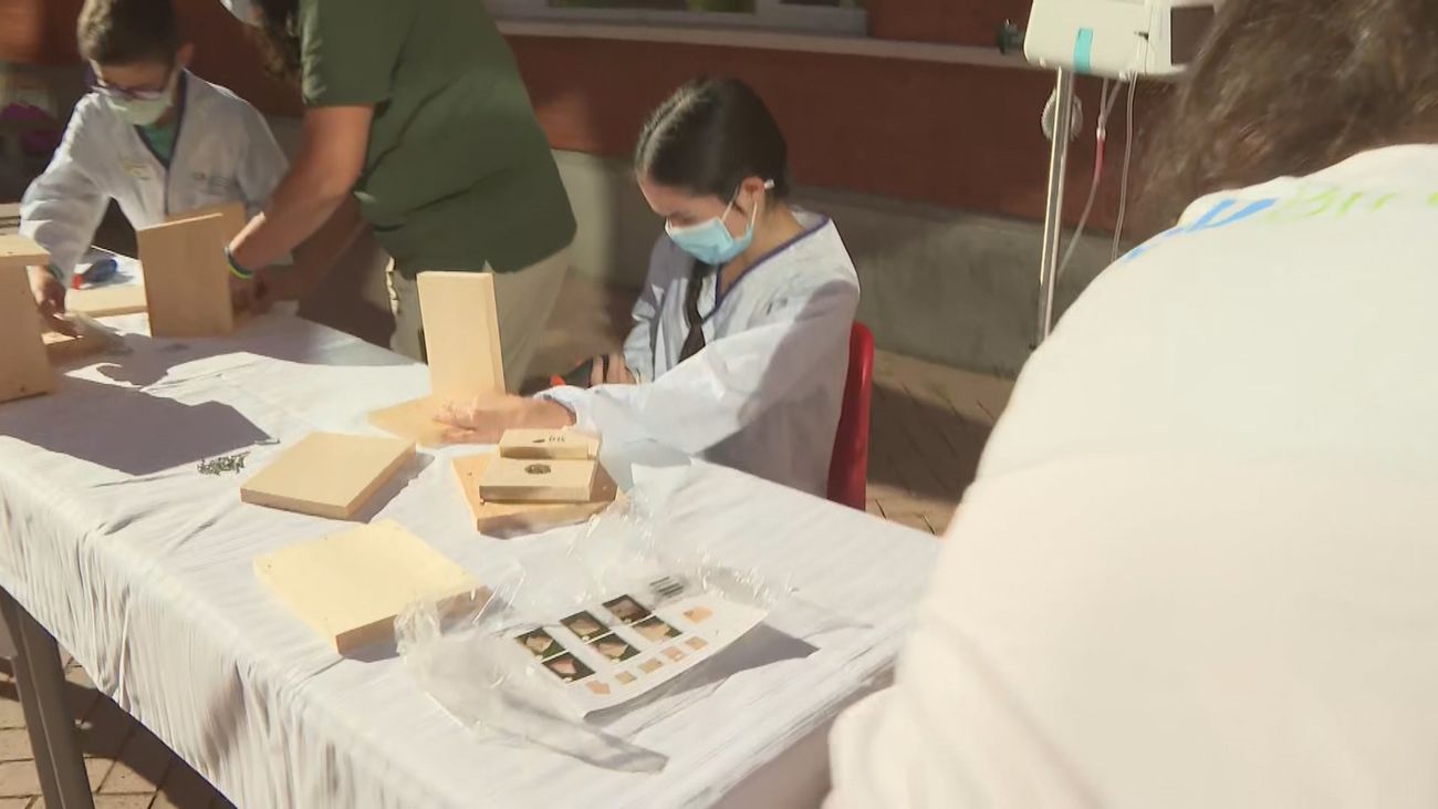 Montaje de cajas-nido para aves como terapia en el Hospital Fundación Alcorcón