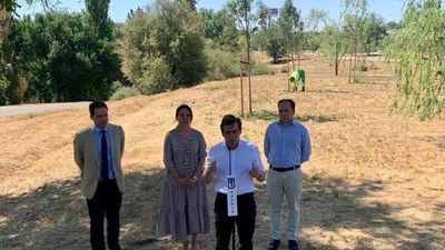 Madrid repondrá los árboles plantados tras Filomena que se secaron por calor