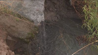 Los vecinos de Barajas denuncian vertidos de aguas fecales en un arroyo que desemboca en el río Jarama