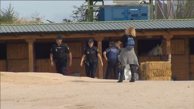 La Policía no encuentra pruebas de maltrato animal en la Hípica El Molino del Pardo