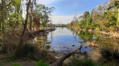 Madrid inicia la restauración de los lagos del parque Tierno Galván por fugas de agua