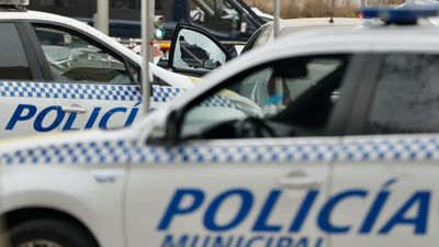 Denunciado un hombre que arrancó  140 kilos de piñas de los pinos de Carabanchel