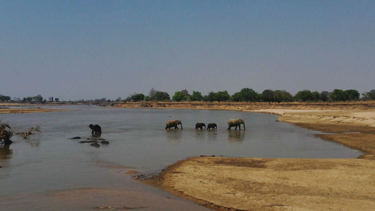 En este safari en Zambia puedes pasar una noche en la sabana rodeado de animales salvajes como leones