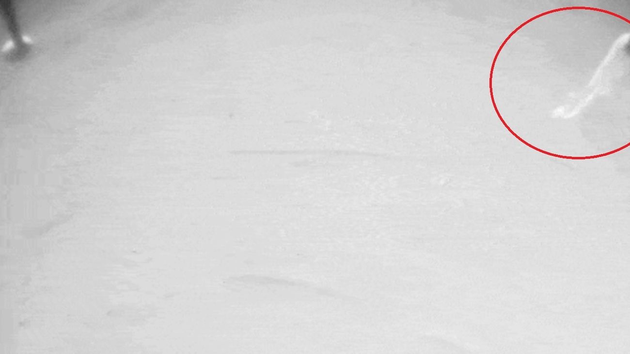 El misterioso objeto aparecido en una de las patas  del helicóptero marciano Ingenuity de la NASA