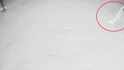 El misterioso objeto aparecido en una de las patas  del helicóptero marciano Ingenuity de la NASA