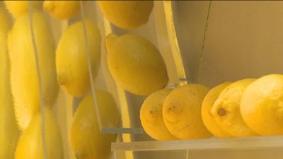Comienza 'Fruit Attraction 2022', el gran escaparate de fruta y verdura