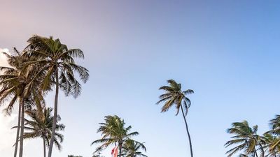 El Enfoque de Ida y Vuelta 24 – Tesoro boricua