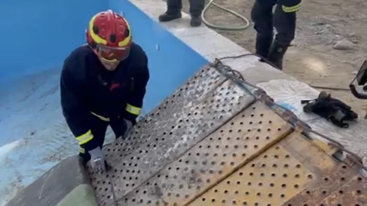 Rampa para rescatar al caballo / PARQUE 11