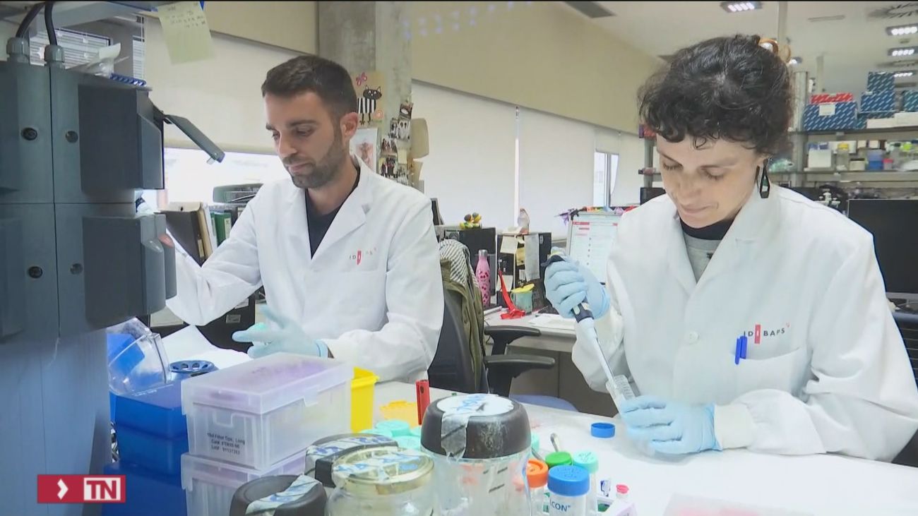 La evolución de la leucemia ya está escrita desde el inicio de la enfermedad