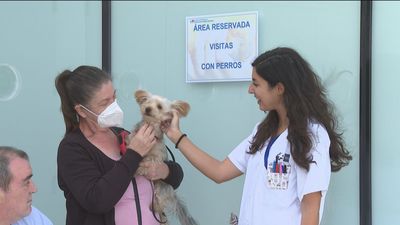 Visita perruna para los pacientes en el Hospital Isabel Zendal