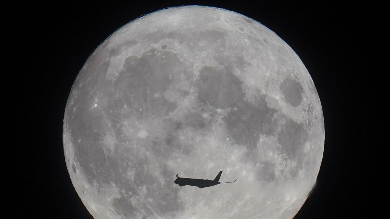 Los científicos australianos buscan el modo de cultivar plantas en la Luna a partir de 2025