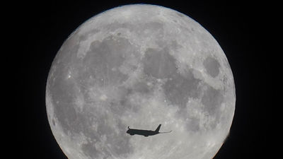 Científicos australianos buscan el modo de cultivar plantas en la Luna a partir de 2025