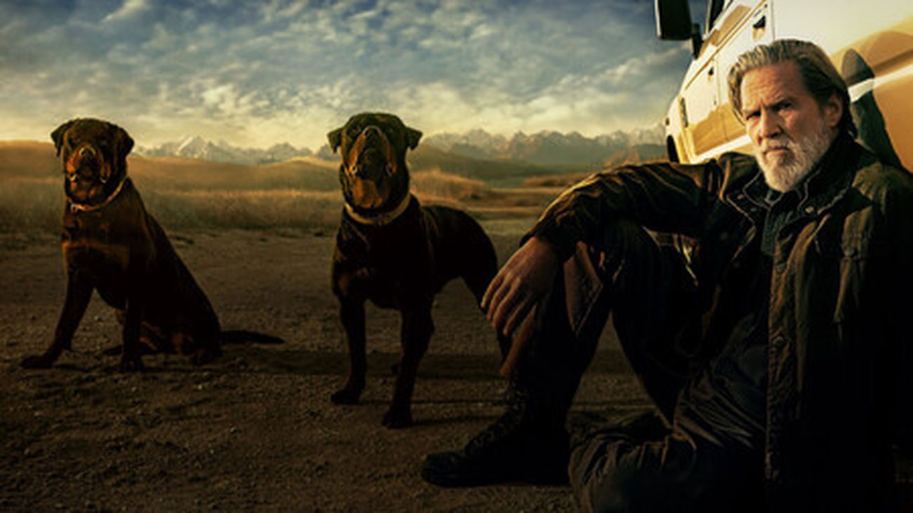 Veteranos en acción