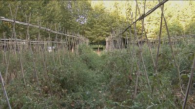Carabaña trata de atraer emprendedores ofreciendo espacios y experiencia