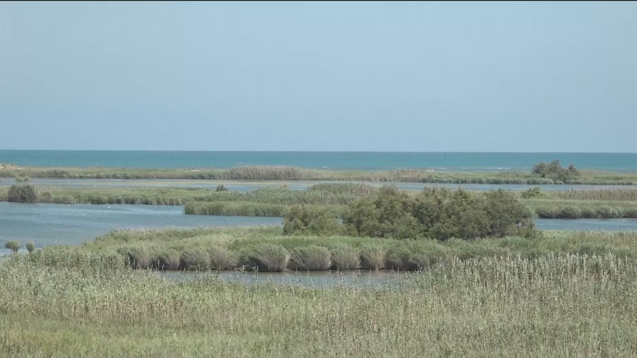 El Delta del Ebro acusa el cambio climático y los planes de cuenca
