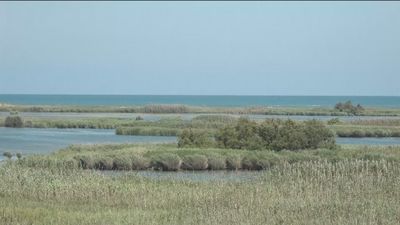 El Delta del Ebro acusa el cambio climático y los planes de cuenca
