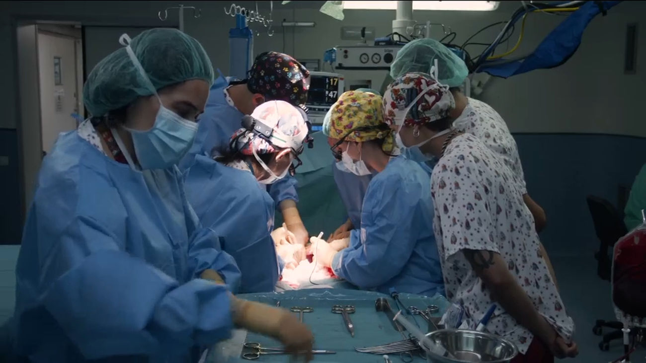 El Hospital La Paz realiza el primer trasplante de intestino del mundo en asistolia