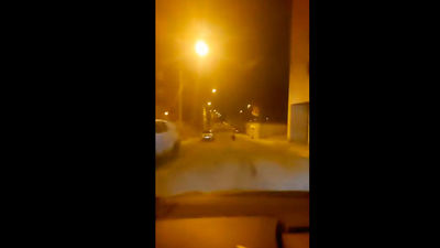 Pillan a un oso corriendo por las calles de Ponferrada