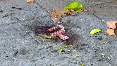 Los vecinos de Coslada denuncian inseguridad, robos y trapicheo de droga en el municipio