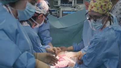 El Servicio Madrileño de Salud, líder mundial en trasplantes