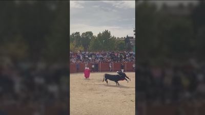 Grave cogida de un anciano en los festejos populares de Villanueva del Pardillo