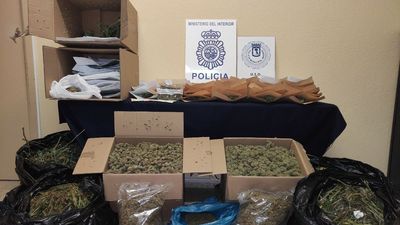 Cuatro detenidos por cultivar marihuana en vivienda del barrio de Fuencarral