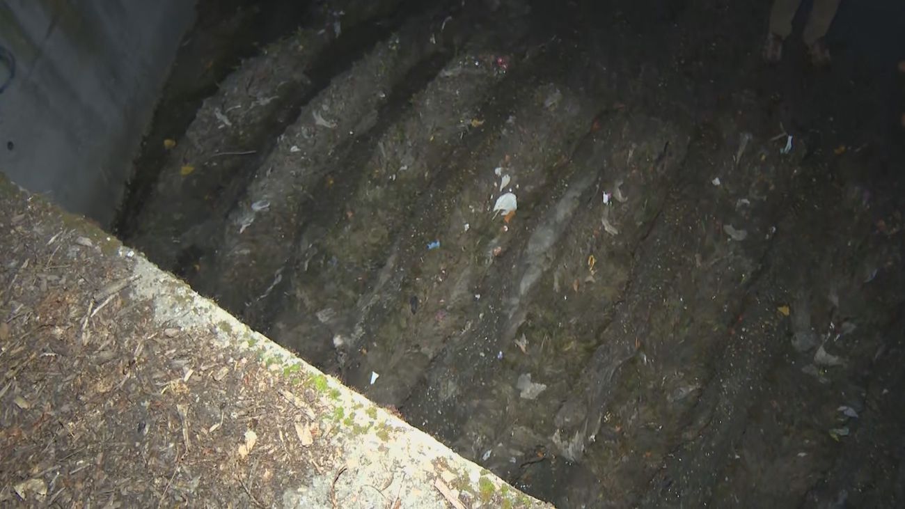 Las redes que salvan al río Jarama de toneladas y toneladas de residuos