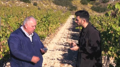 'La Huerta de Carabaña' marca tendencia en todo el mundo