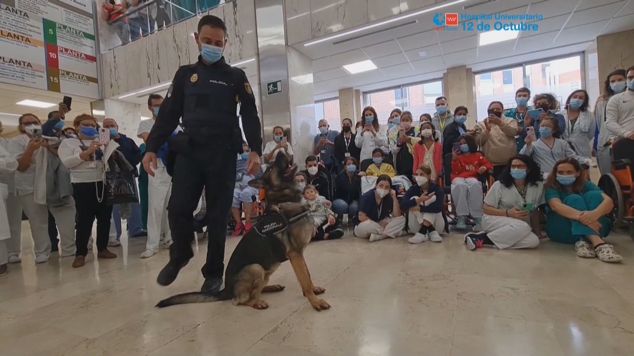 Exhibición de perros guía de la Policía Nacional para pacientes del Hospital 12 de Octubre