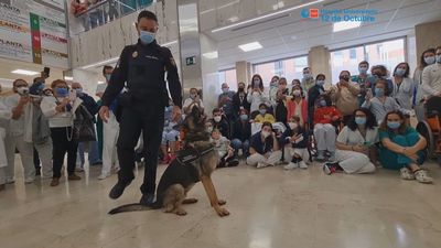 Exhibición de perros guía de la Policía Nacional para pacientes del Hospital 12 de Octubre