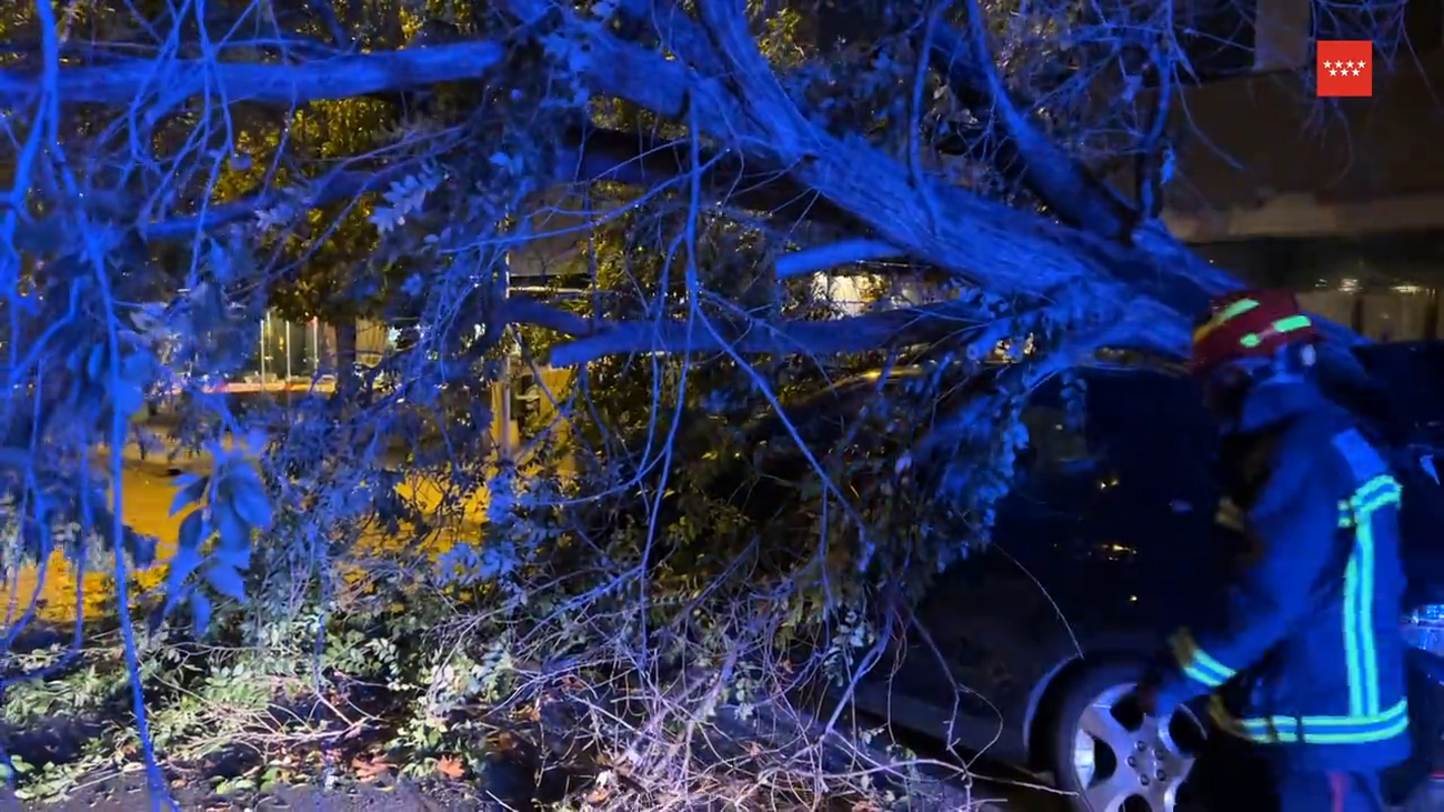 Casi 200 incidencias por el viento atendidas por Madrid 112 la tarde noche de este sábado