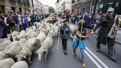Un millar de ovejas y cabras se adueñan de las calles de Madrid