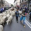 Un millar de ovejas y cabras se adueñan de las calles de Madrid