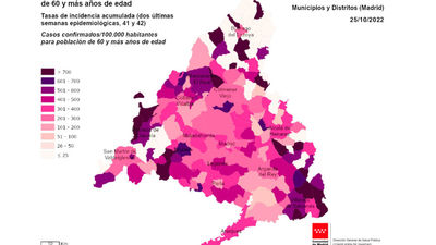 Covid 19: Coslada y Leganés, a la cabeza en incidencia acumulada en la región;  Barajas y Vicalvaro, en la capital