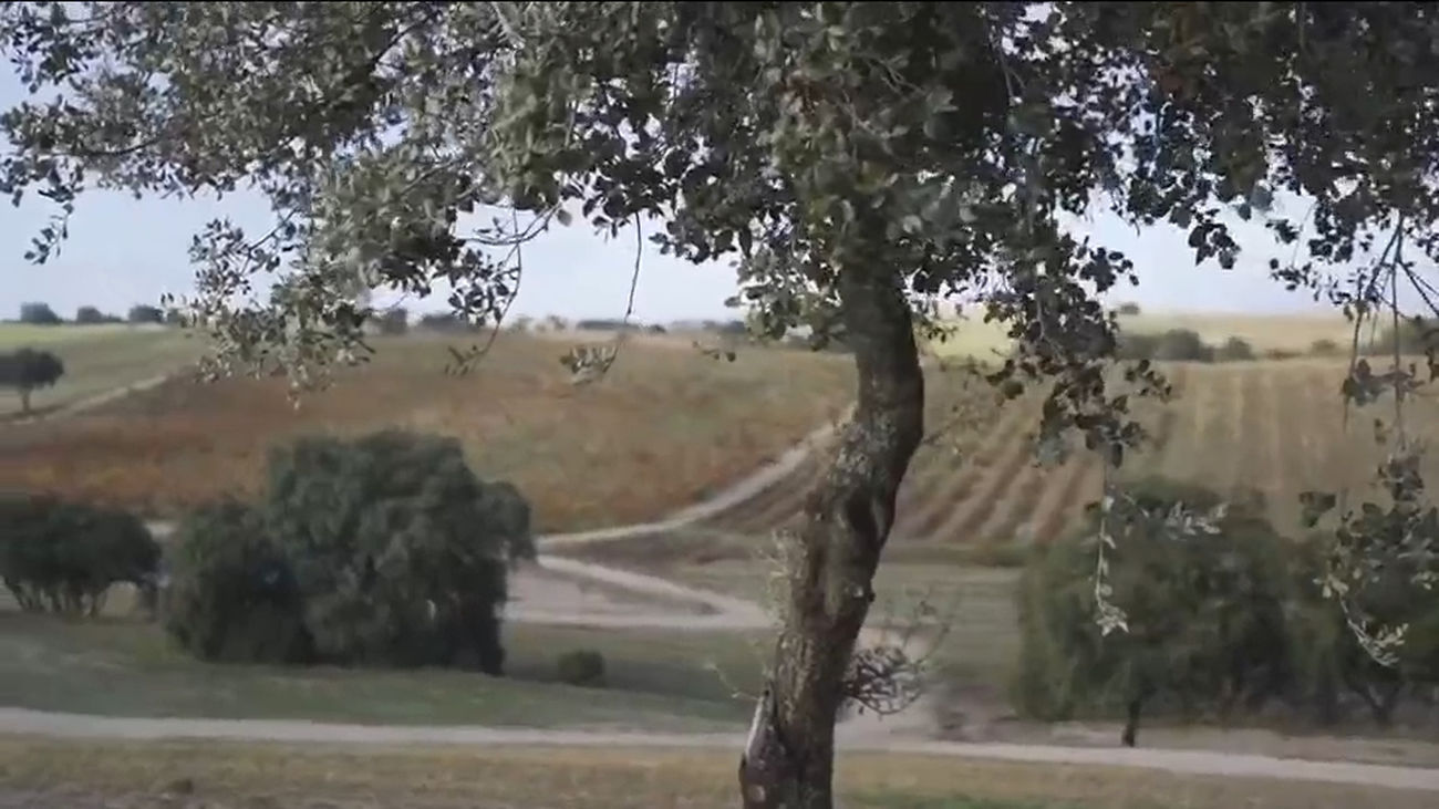 'Recordarium', el único bosque de España donde depositar las cenizas de nuestros seres queridos