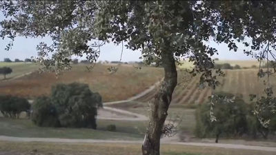 'Recordarium', el único bosque de España donde depositar las cenizas de nuestros seres queridos