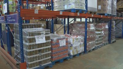 Gran Recogida de Alimentos 2022: se buscan más de 12.000 voluntarios