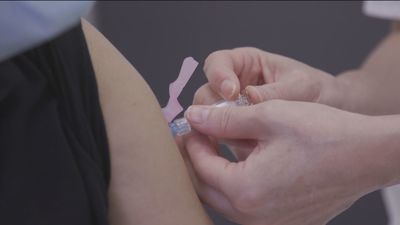 La mitad de los españoles no piensa vacunarse este año contra la gripe