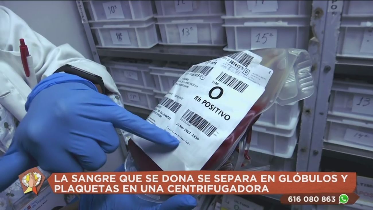 ¿Qué ocurre con la sangre una vez que se dona?