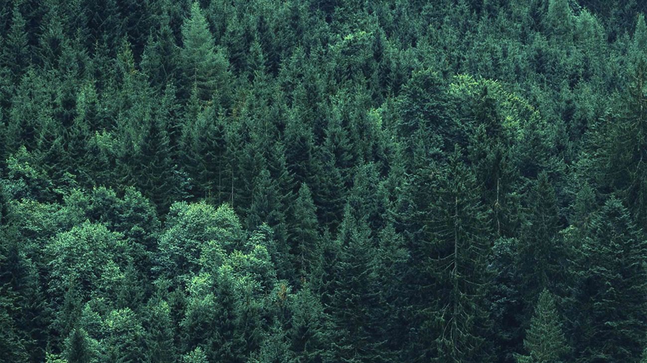 Estefanía Cortes presenta su primer largometraje, 'Edén', en la Semana Internacional de Cine de Valladolid