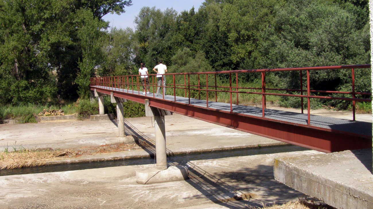 Puente sobre el río Jarama