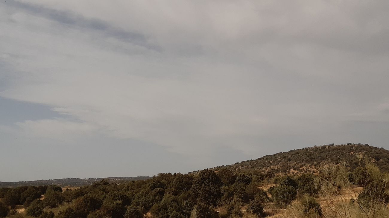 Nubes altas sobre la dehesa de Moncalvillo, San Agustín del Guadalix
