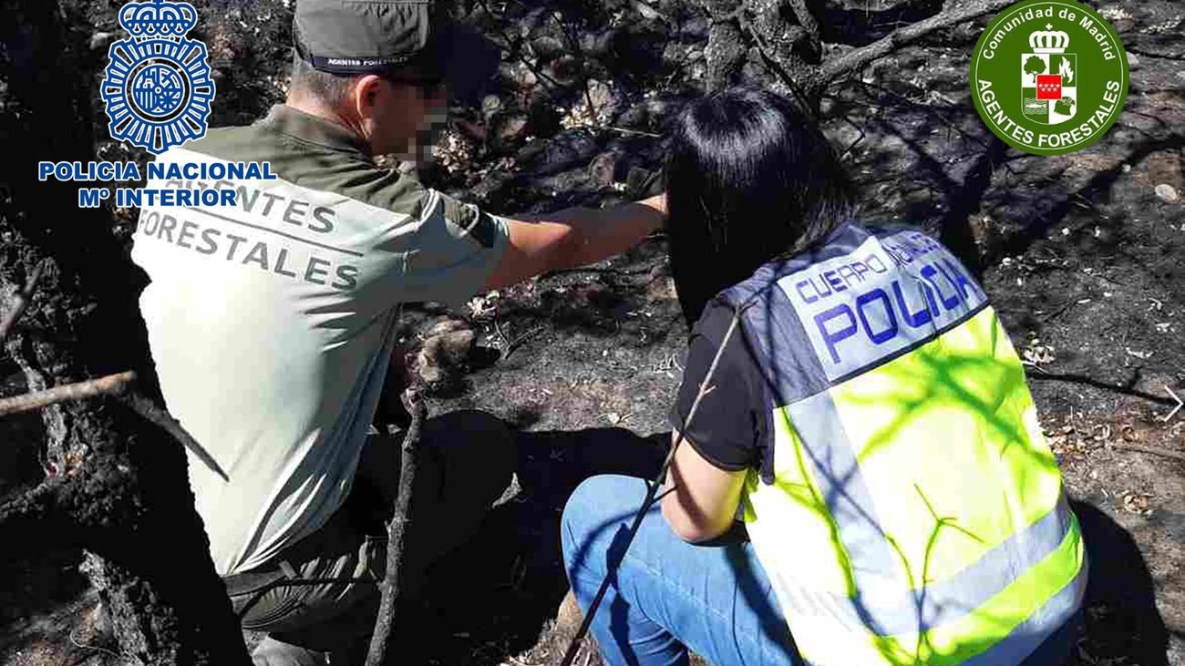 Un agente forestal y otro de Policía Nacional en un área de Pinilla del Valle afectada por un incendio