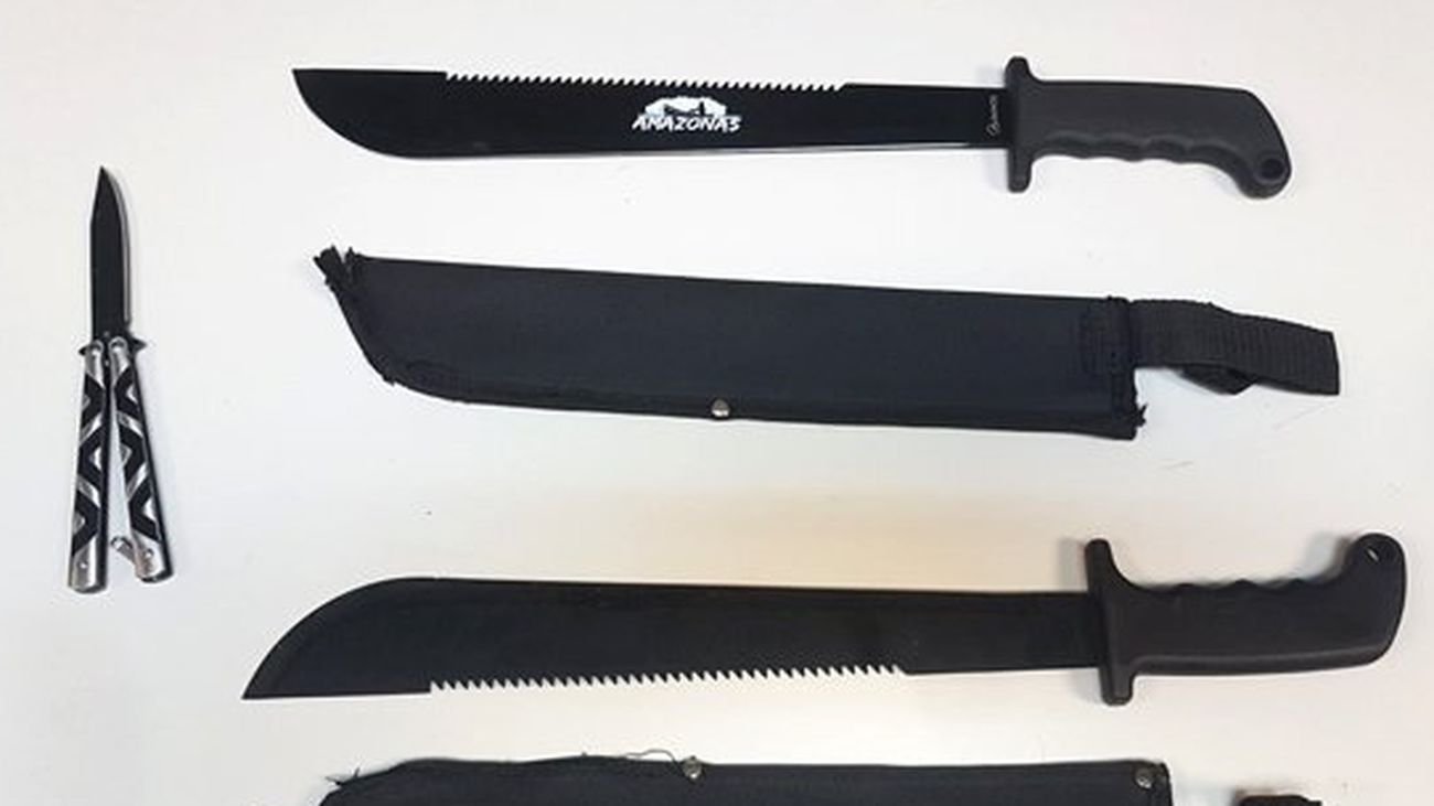 Enrique López plantea que sea delito el porte  de armas blancas tipo machete por las calles