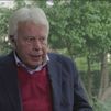 Felipe González: "La prioridad fue mantener la convivencia"