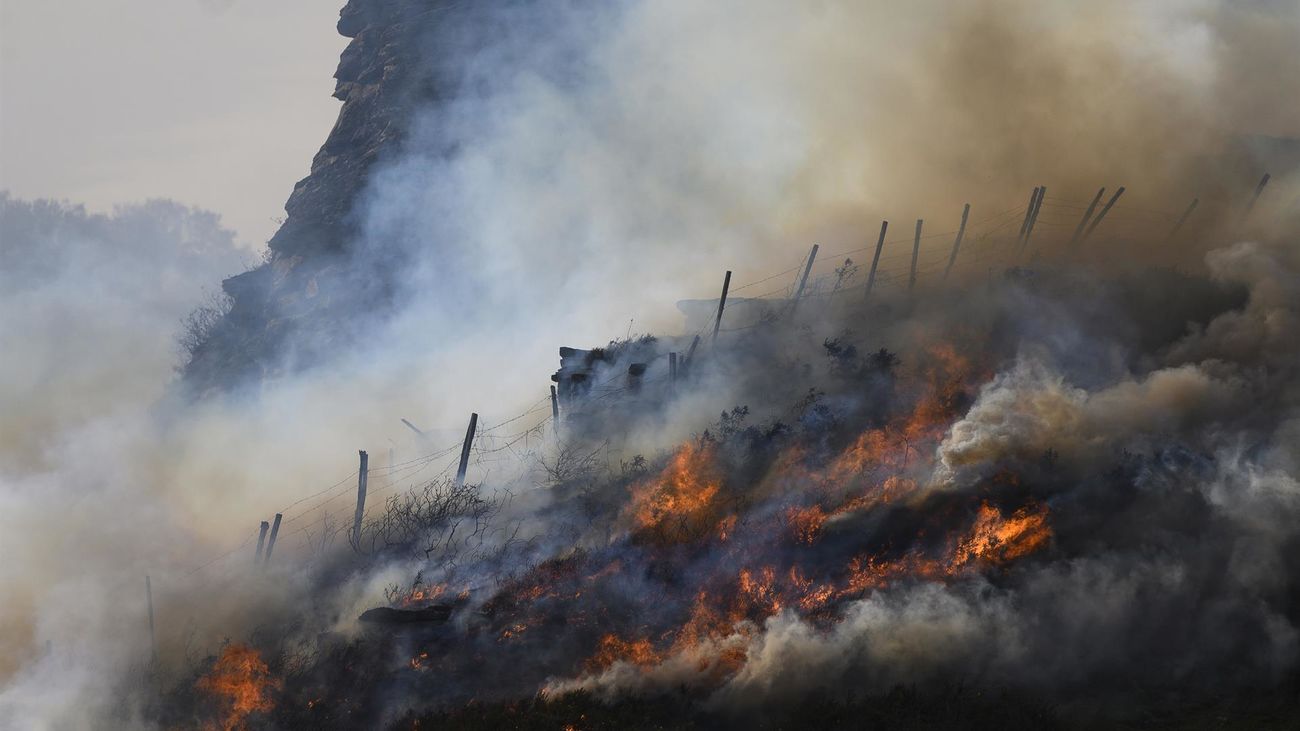 Incendio forestal en Cantabria